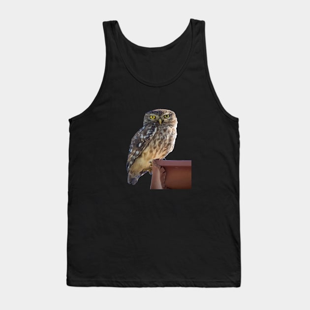 Beautiful Cute Barn Owl Staring With Wide Yellow Eyes Tank Top by taiche